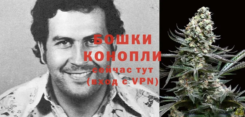 kraken ССЫЛКА  Кировск  МАРИХУАНА OG Kush  купить  цена 